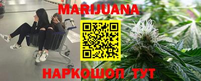 крисы Абакан