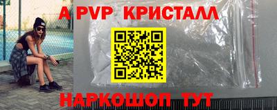 крисы Абакан