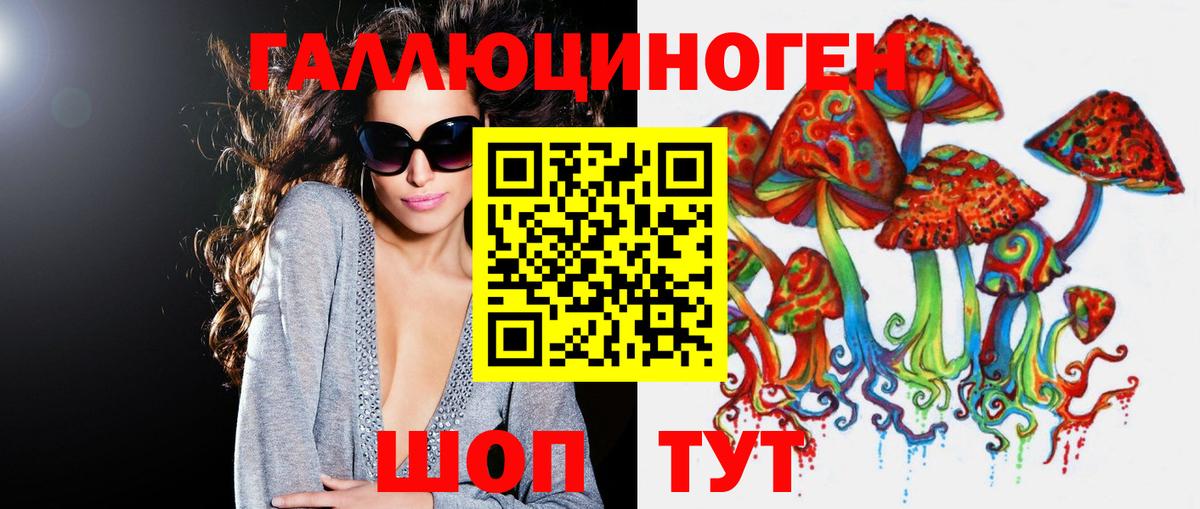 Псилоцибиновые грибы Psilocybine cubensis  Вход с VPN  Апатиты 